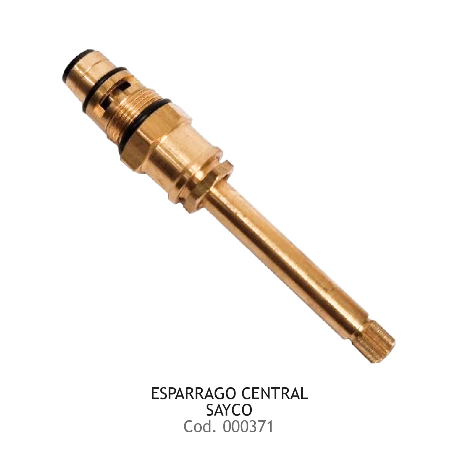 ESPARRAGO CENTRAL SAYCO (MEZ 2