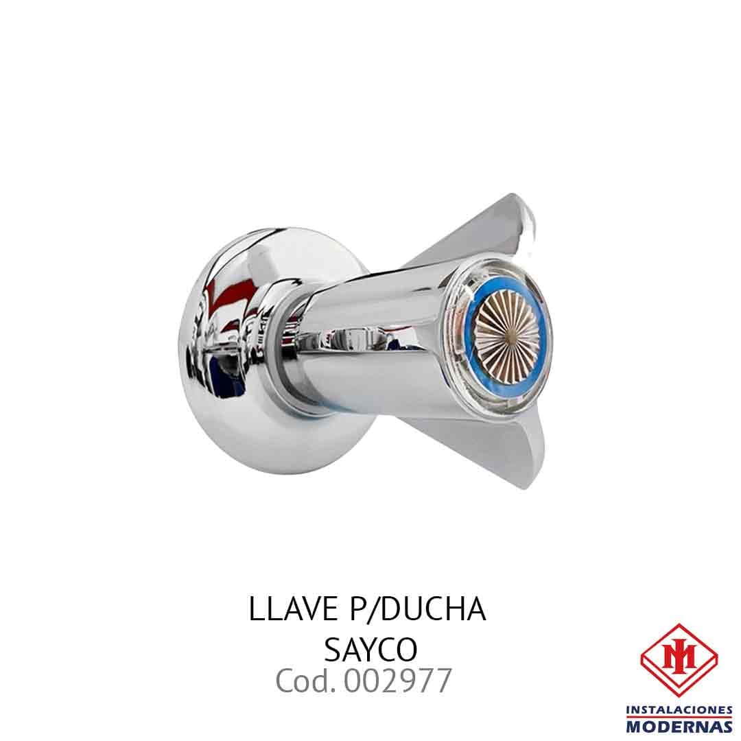 LLavamanosE P/DUCHA SAYCO